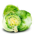Lechugas (und)