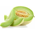 Melon Tuna (und)
