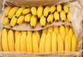 Platano (1kg)